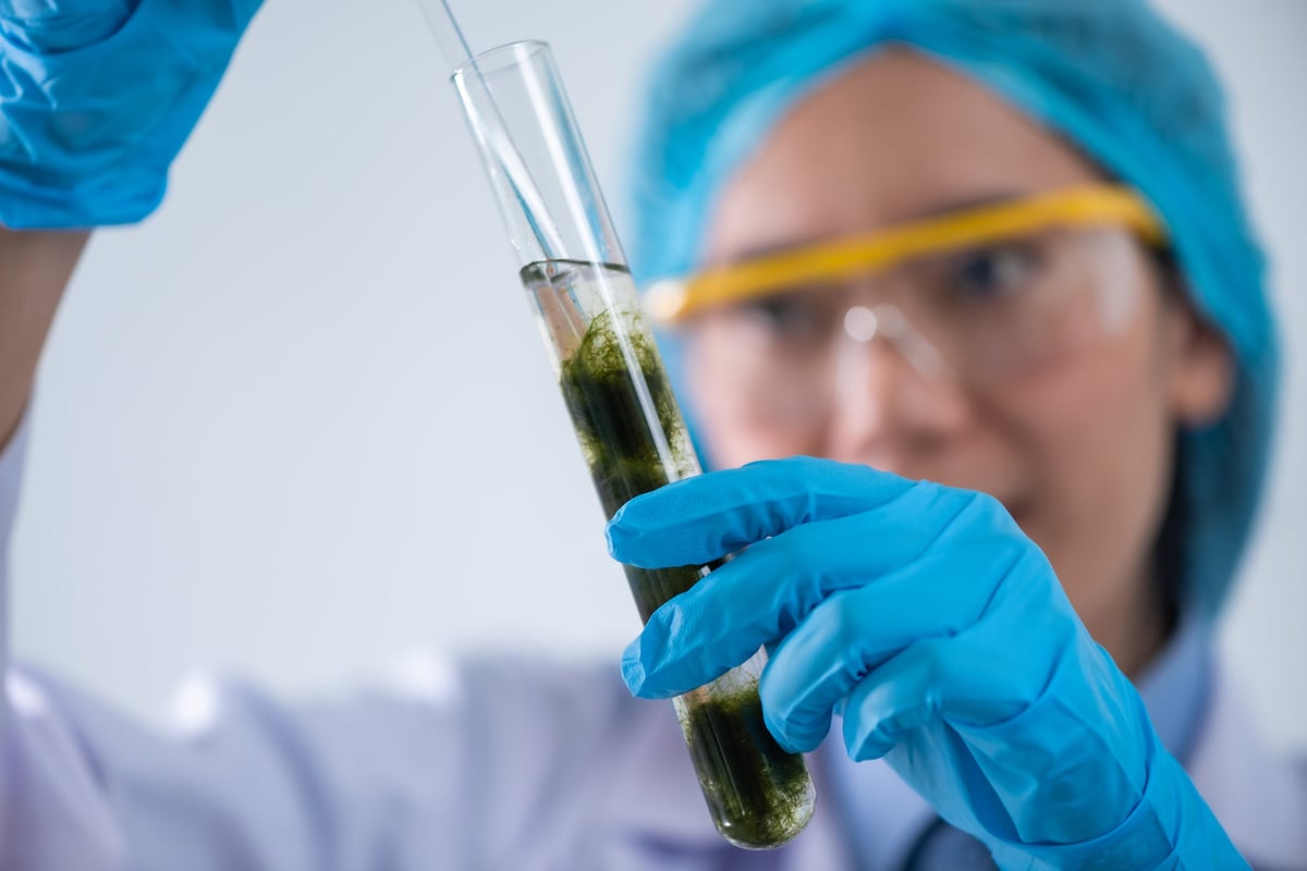 Microalgae photobioreactor in a renewable energy laboratory